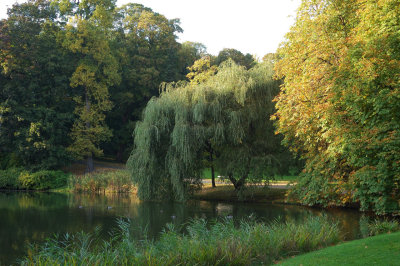 g4/70/900970/3/138868373.x4uQc97X.jpg