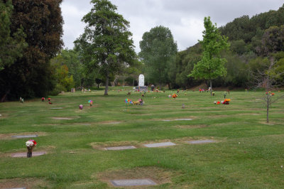 DSC_7094.jpg