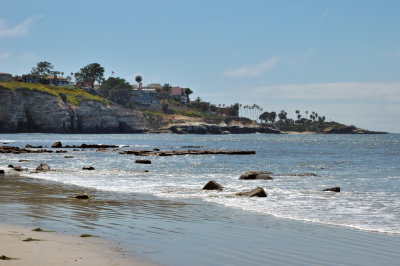 DSC_7198.jpg