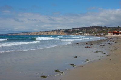 DSC_7202.jpg