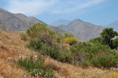 DSC_7531.jpg