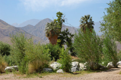 DSC_7536.jpg