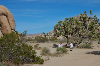 DSC_7559.jpg