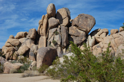 DSC_7569.jpg