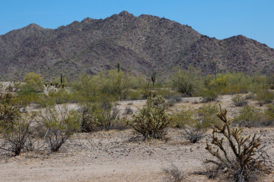 DSC_7628.jpg