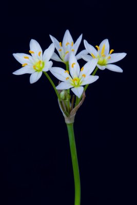 IMG_3404_PBase.jpg