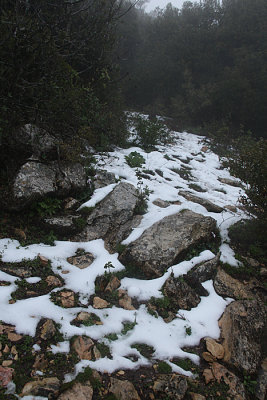 Mt. Meron, Israel.