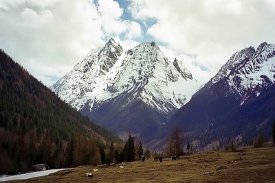 Siguniang, Sichuan Province, China.