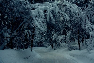 Bansko, Bulgaria.