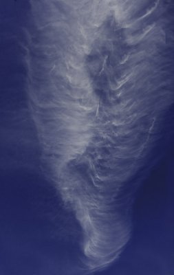 g4/70/909670/3/140058285.pNdhbGxl.jpg