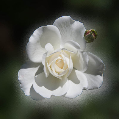 g4/70/909670/3/143355276.nFRNsJG7.jpg