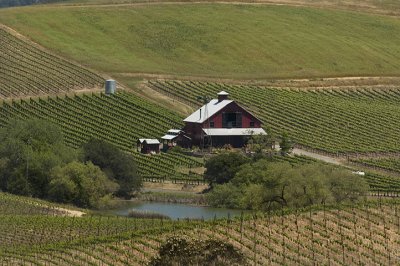 Vineyoar farmhouse - Carneros appellation