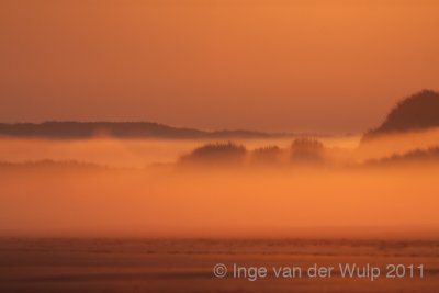 Sunrise on the beach