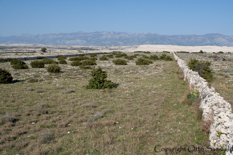 Kolan - Pag, Croatia