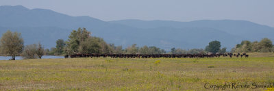 g4/70/944870/3/143324461.bvljT3cV.jpg