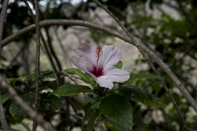 g4/70/971070/3/141324677.cBE1w2X5.jpg
