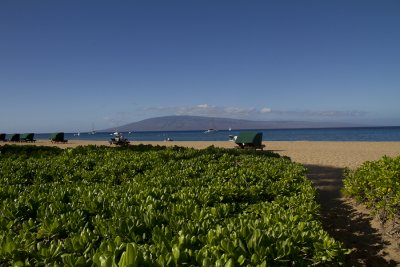 Island of Maui, Hawai'i