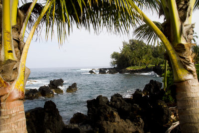 Hawaii-6664.jpg