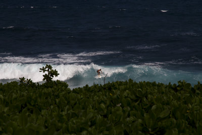 Hawaii-6921.jpg