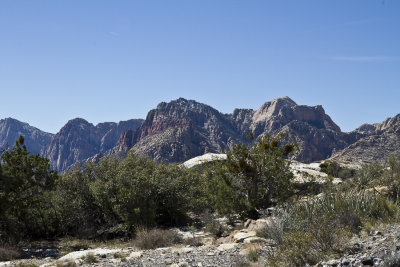 Red Rock Canyon-7507.jpg