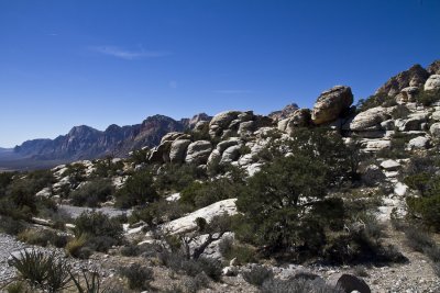 Red Rock Canyon-7508.jpg