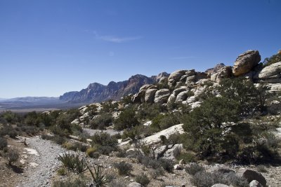Red Rock Canyon-7509.jpg