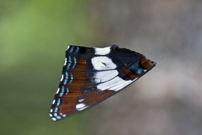 MIscellaneous-5800.jpg