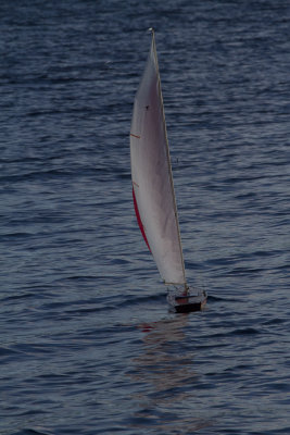 7941.jpg