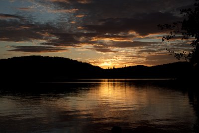 Miscellaneous-6992.jpg