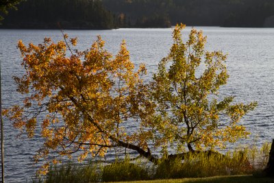 Miscellaneous-9053.jpg