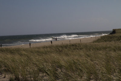 Nauset Beach