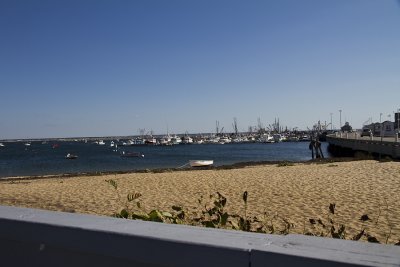 Cape Cod-9420.jpg