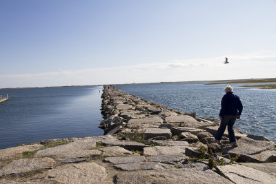 Cape Cod-9458.jpg