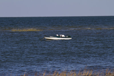 Cape Cod-9482.jpg
