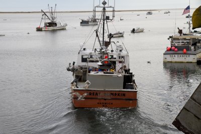 Cape Cod-9599.jpg