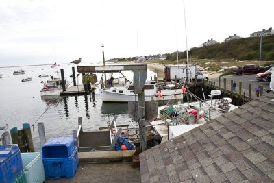 Cape Cod-9614.jpg