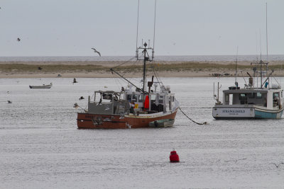 Cape Cod-9623.jpg