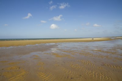 Cape Cod-9688.jpg