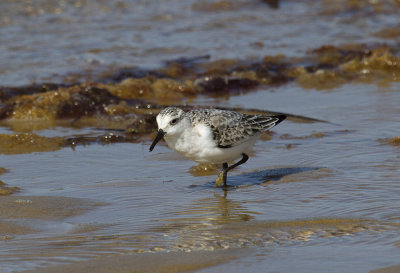 Cape Cod-9714.jpg
