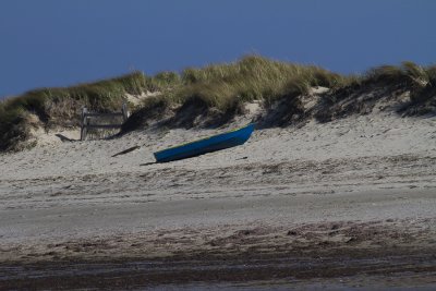 Cape Cod-9736.jpg