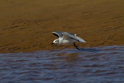 Cape Cod-9768.jpg