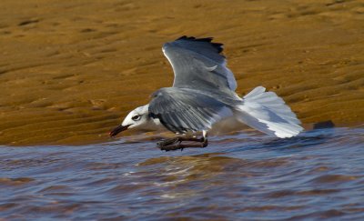 Cape Cod-9770.jpg