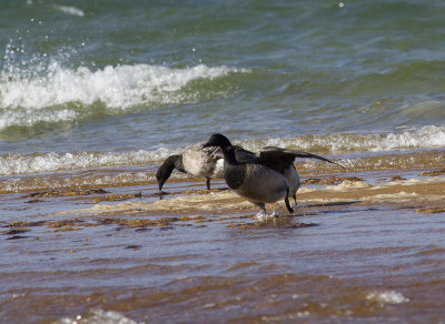 Cape Cod-9780.jpg
