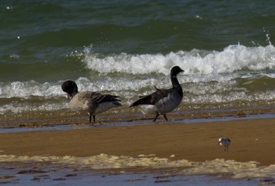 Cape Cod-9788.jpg