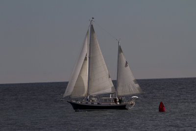 Cape Cod-9982.jpg