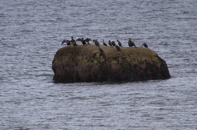 Cape Cod-9991.jpg