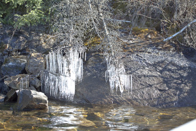 Lake-April 2012-7296.jpg