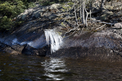 Lake-April 2012-7319.jpg