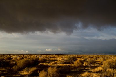 Before the Storm in the Mojave Desert