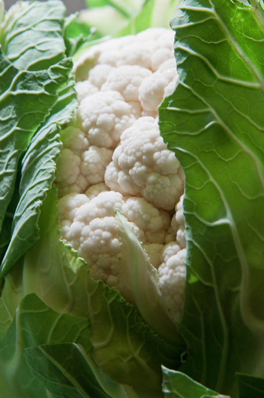 March 12 - Ahhh!  Cauli